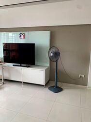 Blk 1C The Pinnacle@Duxton (Bukit Merah), HDB 4 Rooms #568896171